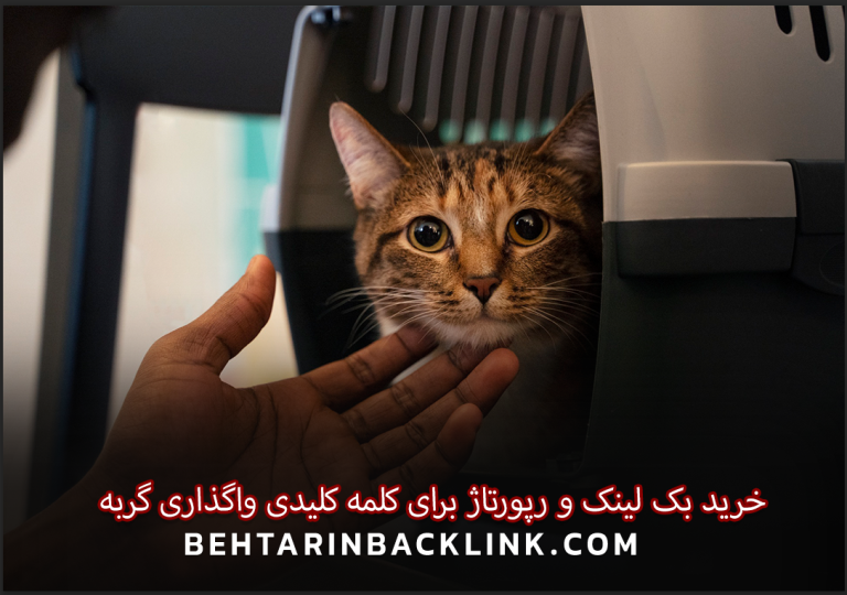 خرید بک لینک و رپورتاژ برای کلمه کلیدی واگذاری گربه